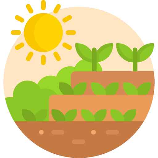 Walking Trails and Green Spaces